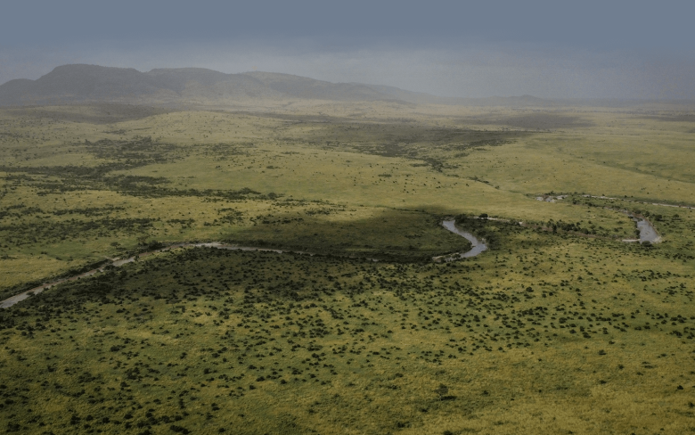 Aerial view of the Masai Mara savanna during the green season, with a winding river cutting through lush grasslands and scattered acacia trees, backed by misty hills — the landscape surrounding Enkewa Camp in the Olderkesi Conservancy, Kenya