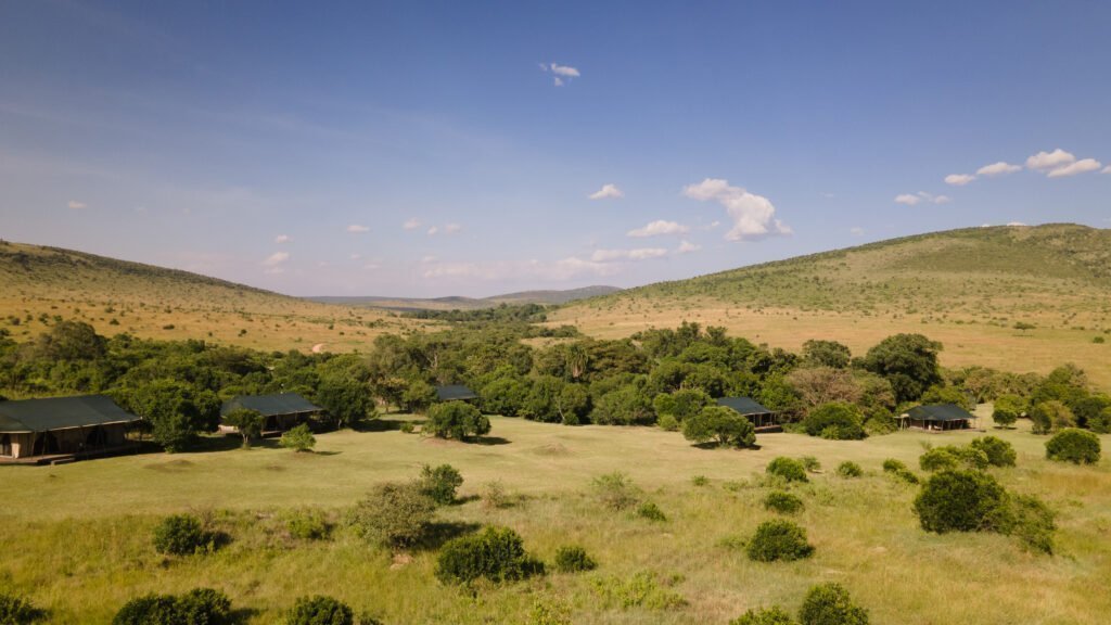 A Camp camouflaged in the Masai Mara Reserve. There are 5 tents integrated in nature