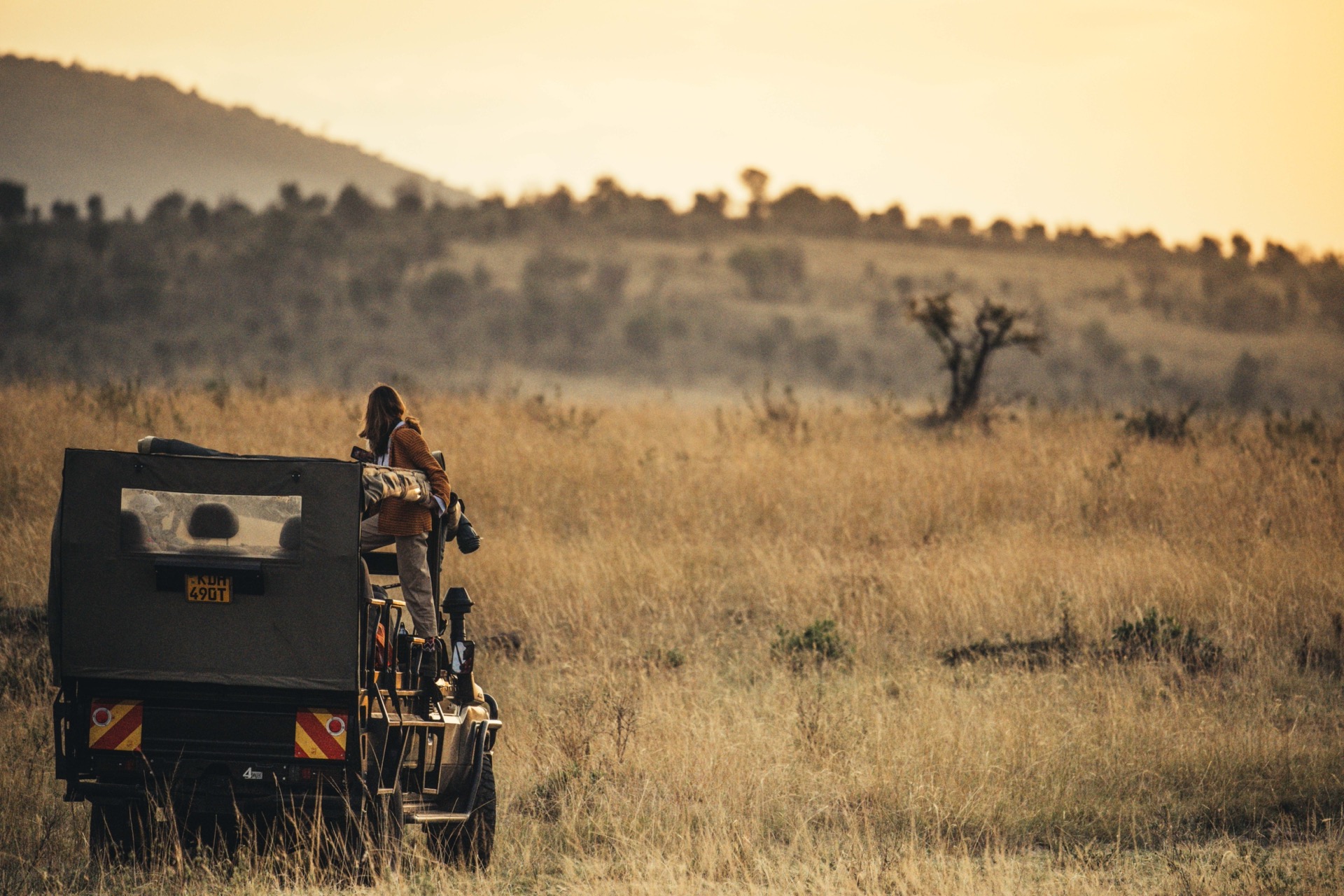 Solitary lion pride resting undisturbed in the Masai Mara grass